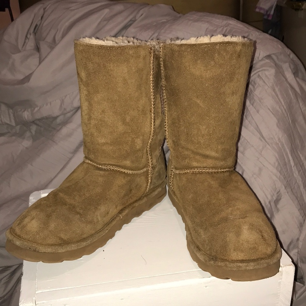 Shine high Bear Paw boots